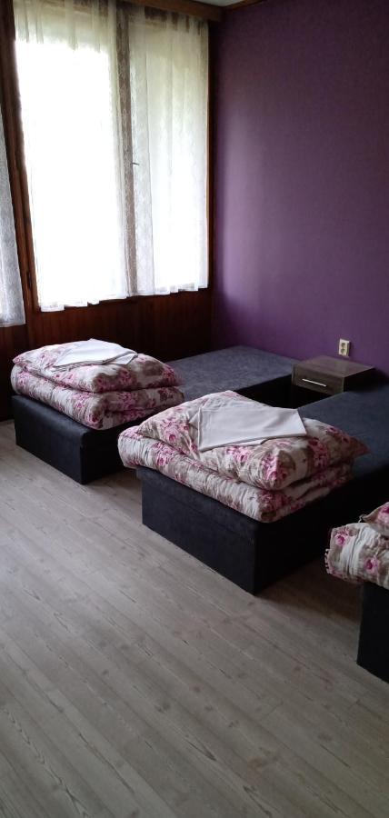 Druzstevni Dum Choustnik Hotel Kültér fotó